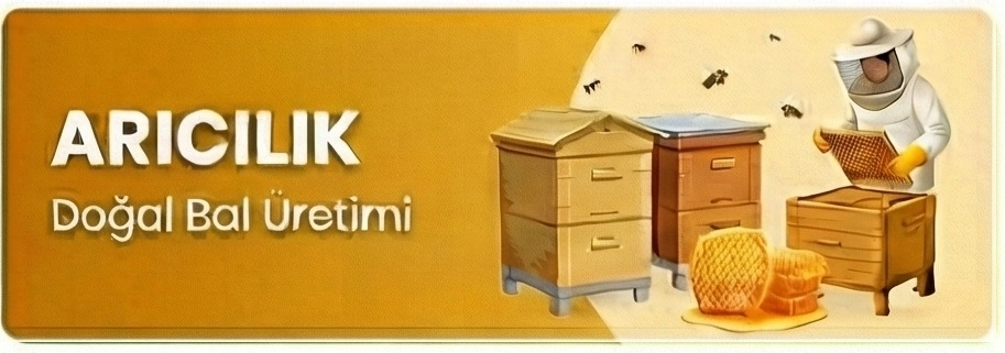 Arı Ürünleri