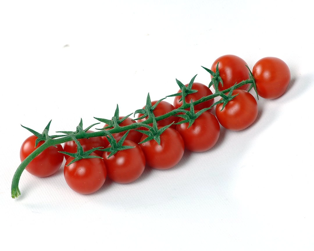 Green South Çeri (Kiraz) Domates Tohumu 100 Adet - Salkım ve Tatlı (Hobi Paketi)