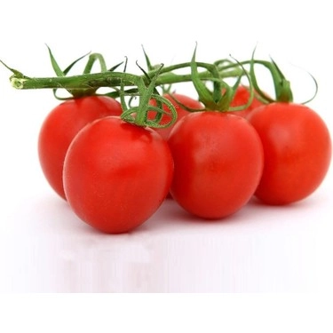 Green South Çeri (Kiraz) Domates Tohumu 100 Adet - Salkım ve Tatlı (Hobi Paketi)