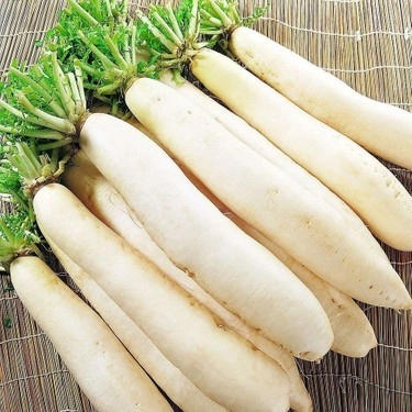 Akgen Japon (Daikon) Turpu Tohumu 5 gr - Beyaz, Uzun ve Gevrek