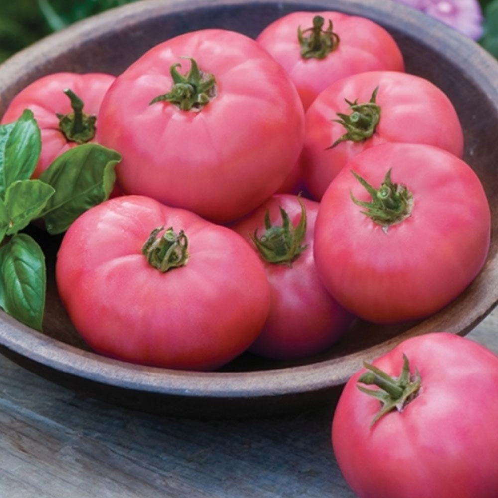 Pembe Köy Domatesi Tohumu