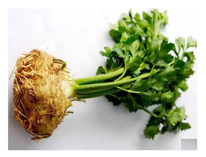 Sunagri Kök Kereviz Tohumu 5 gr - İri Başlı, Beyaz Etli ve Aromatik