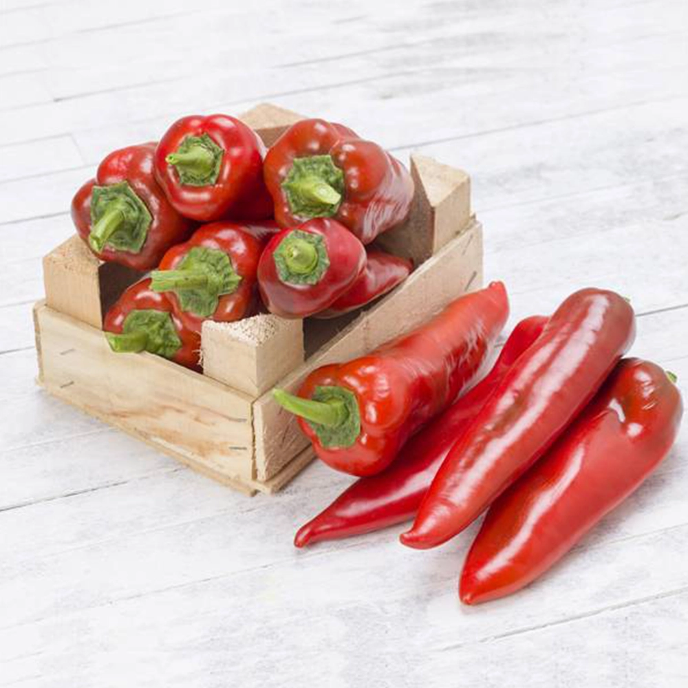 Yağlık Kapya Biber Tohumu (Salçalık - Közlemelik)