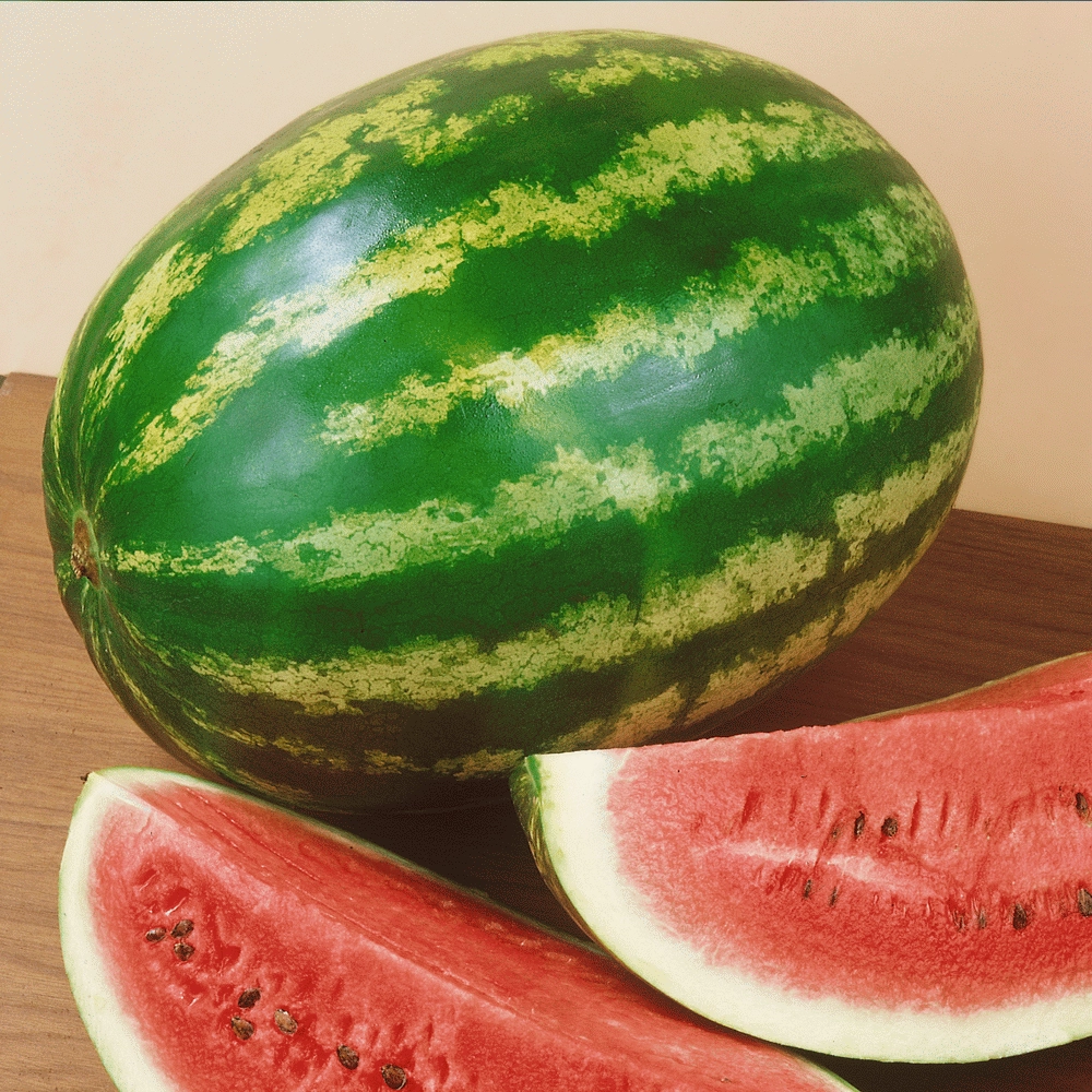 Crimson Sweet Karpuz Tohumu (Çizgili - Nakliyeye Dayanıklı)