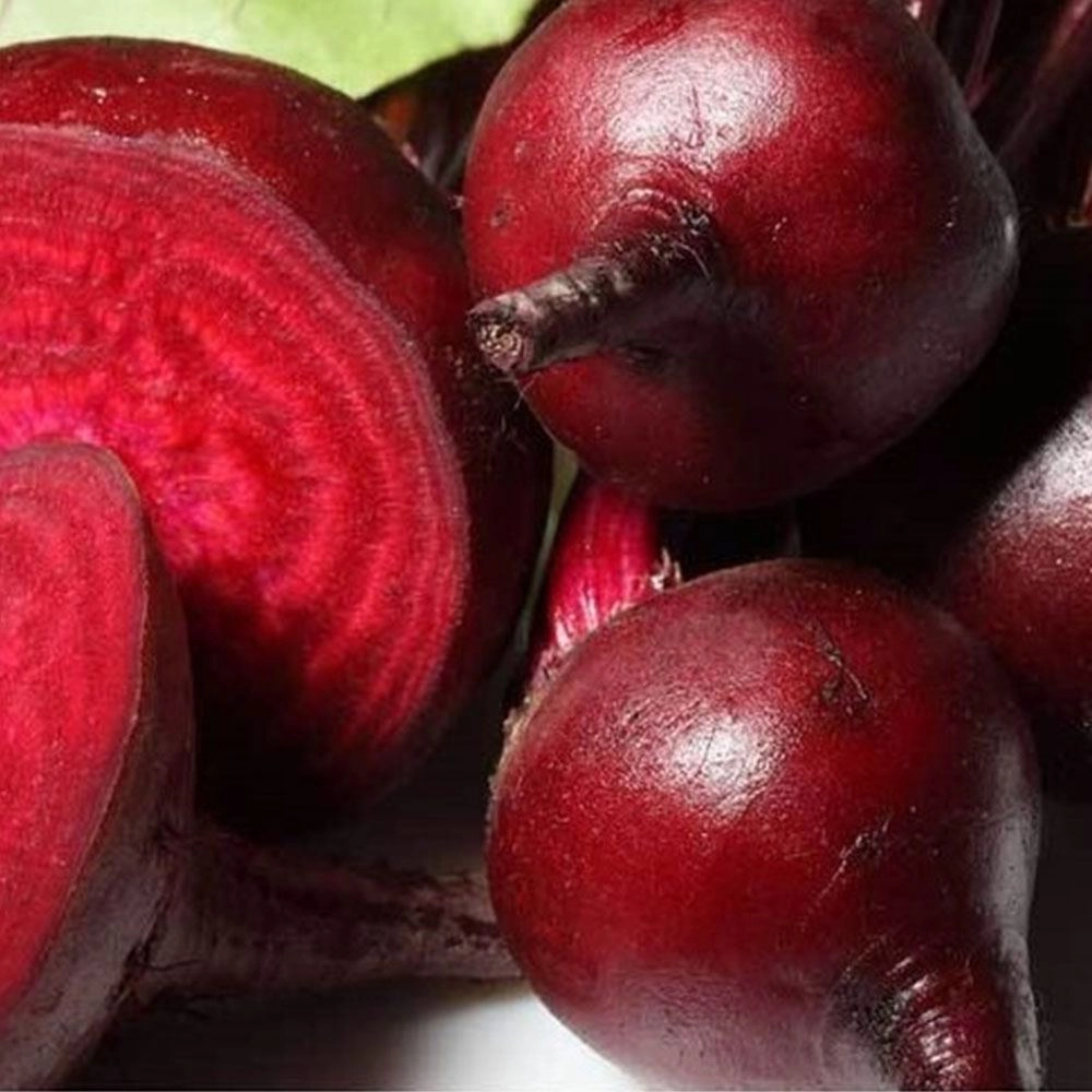 Kırmızı Pancar Tohumu (Lifsiz - Turşuluk)