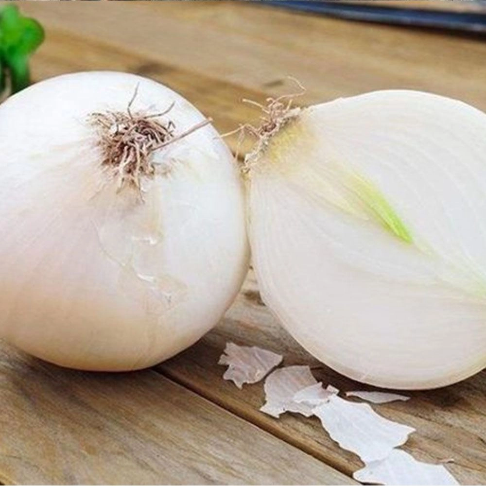 Beyaz Soğan Tohumu