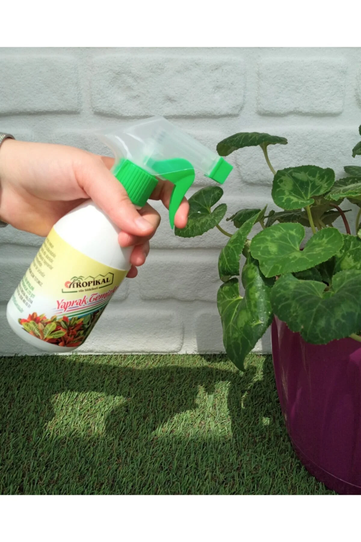 Tropikal Yaprak Temizleyici Sprey 500 Ml (Doğal Parlaklık - Toz Savar)