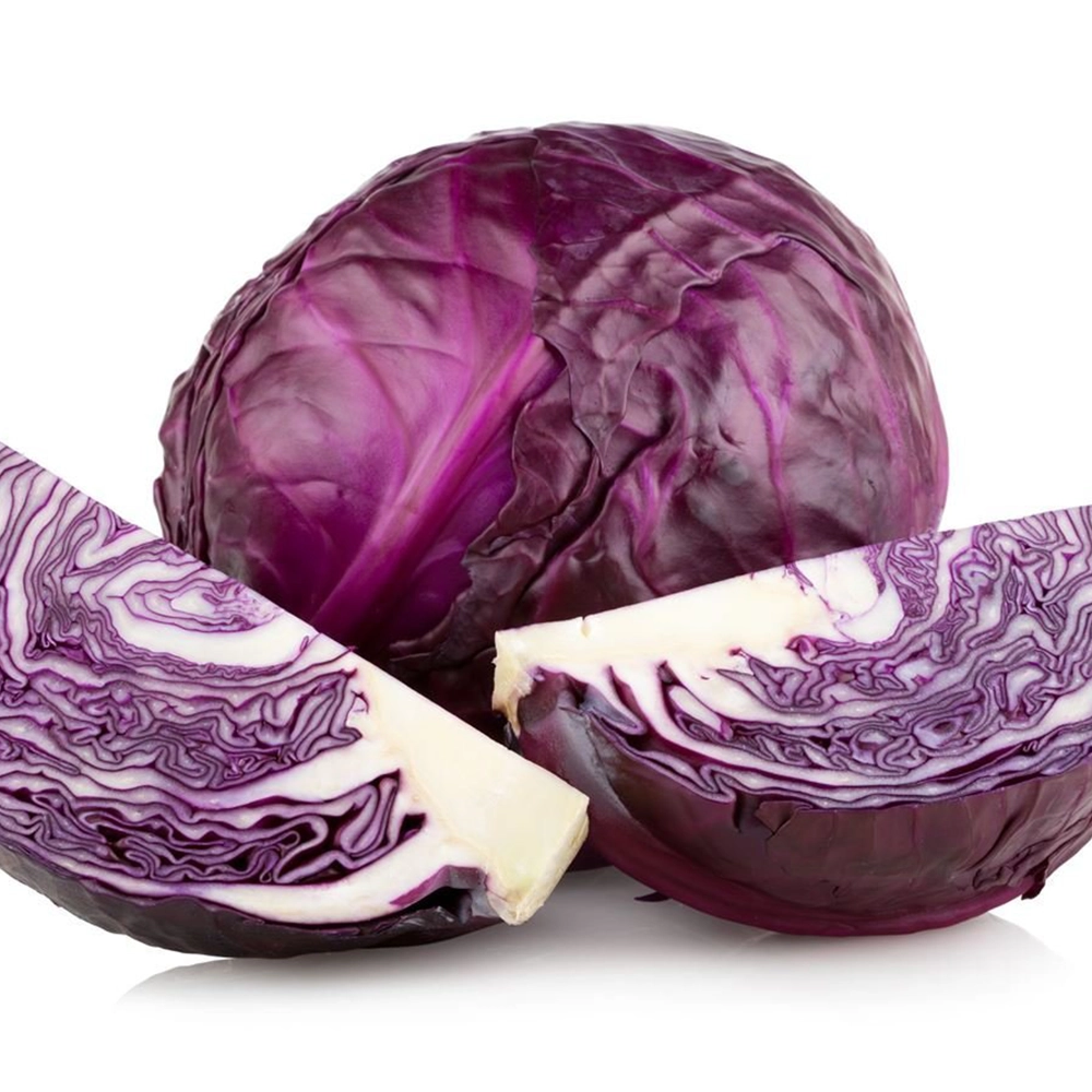 Kırmızı Lahana Tohumu (Mor Lahana - Sıkı Baş)
