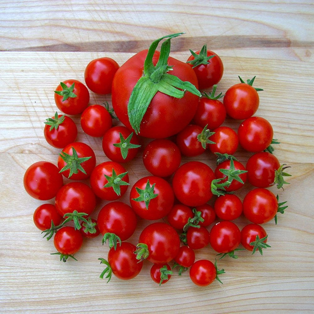Cherry (Çeri) Domates Tohumu