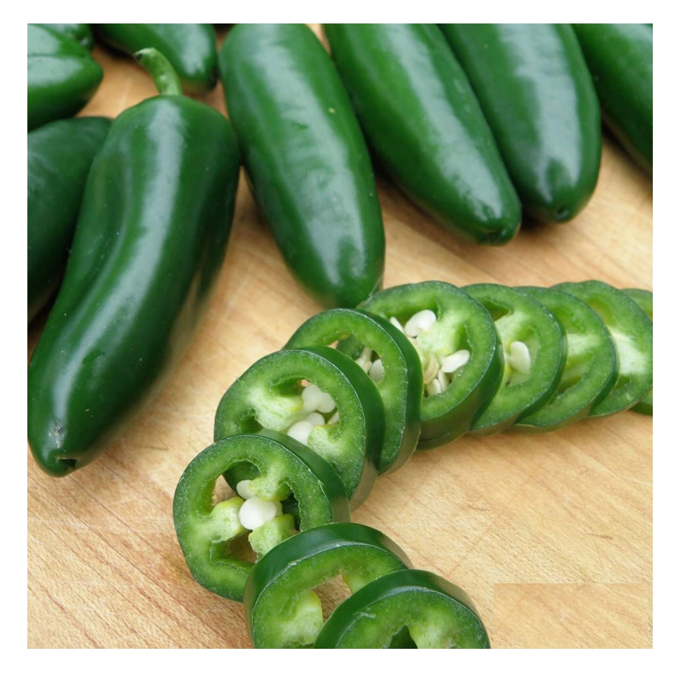 Sunagri Jalapeno Biber Tohumu 100 Adet - Etli ve Acı Meksika Biberi