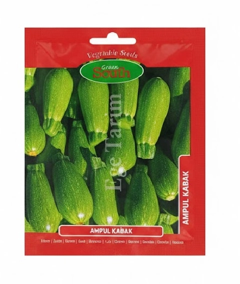 Green South Ampul (Girit Tipi) Dolmalık Kabak Tohumu 5 gr - Açık Yeşil ve Bol Verimli