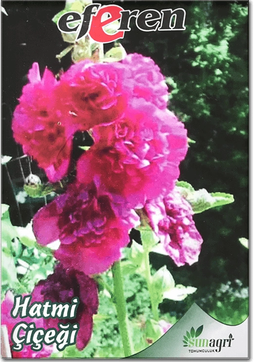 Hatmi Çiçeği Tohumu (Gül Hatmi - Çok Yıllık)