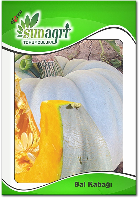 Bal Kabağı Tohumu (Kışlık - Tatlılık)