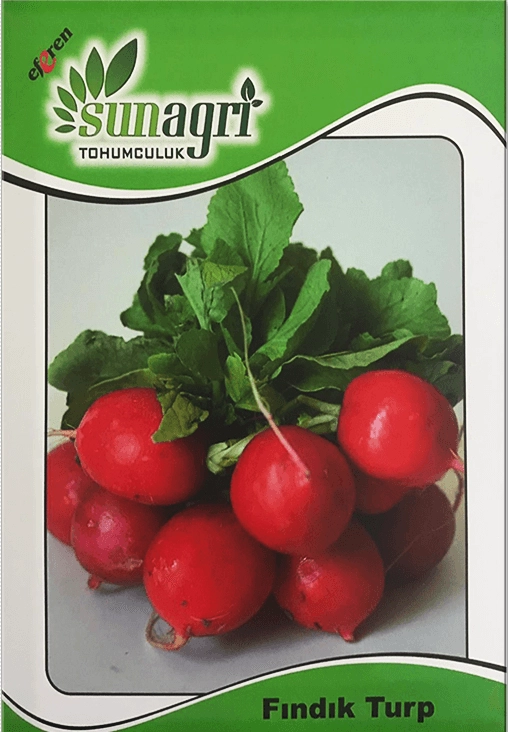 Fındık Turp Tohumu (Kırmızı Küçük)