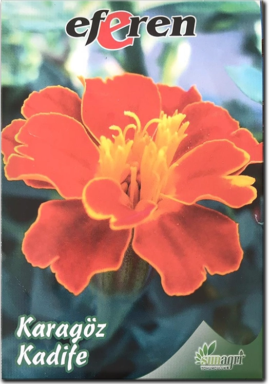 Karagöz Kadife Çiçeği Tohumu (Saksı ve Bordür - Kokulu)