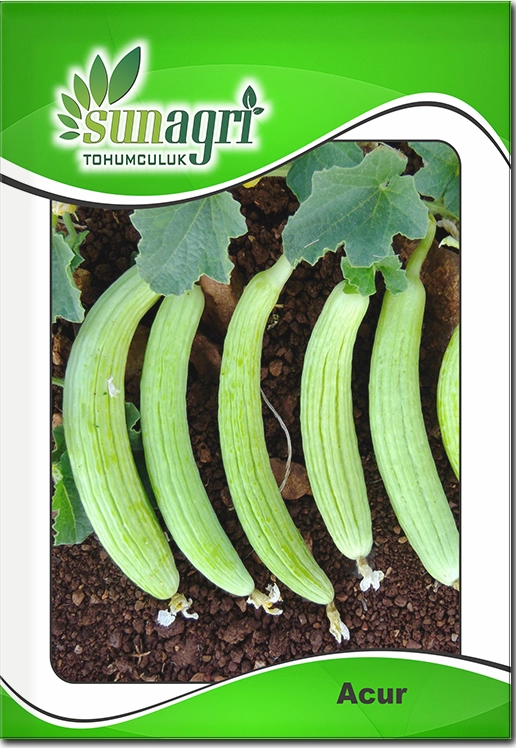 Acur Tohumu (Geleneksel - Turşuluk & Sofralık)