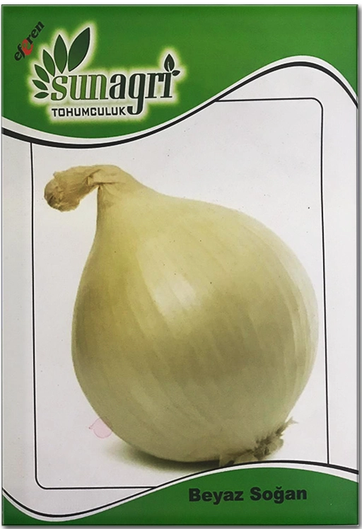 Beyaz Soğan Tohumu