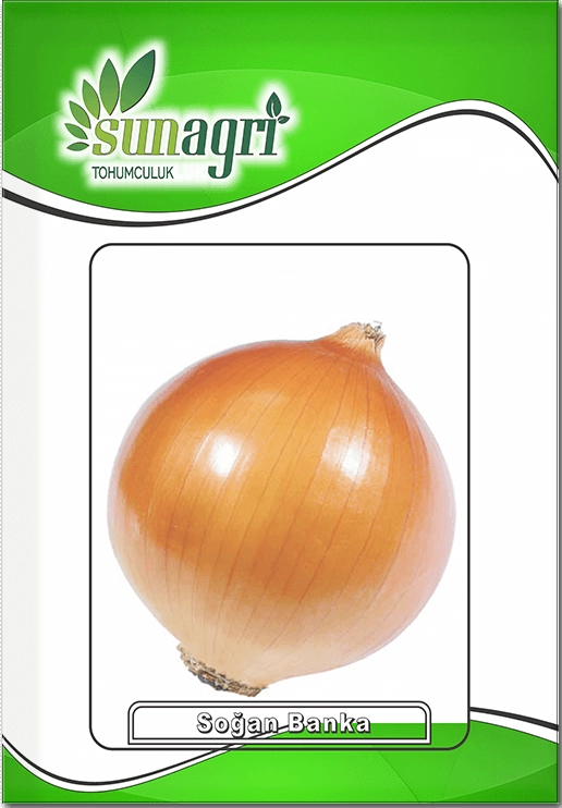 Banka Soğan Tohumu (Sarı - Depoluk)
