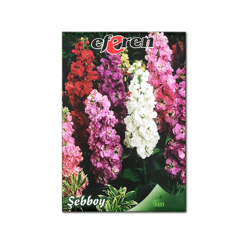 Şebboy Çiçeği Tohumu (Gece Kokulu - Kesme Çiçek)
