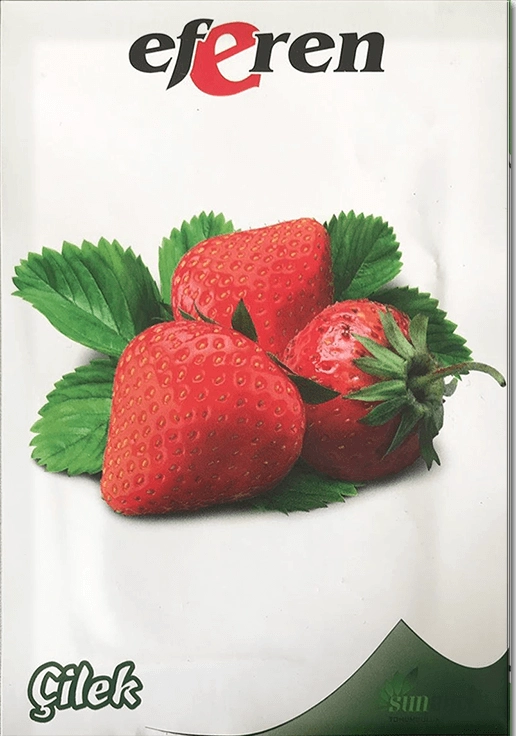 Çilek Tohumu (Saksı ve Bahçe - Çok Yıllık)