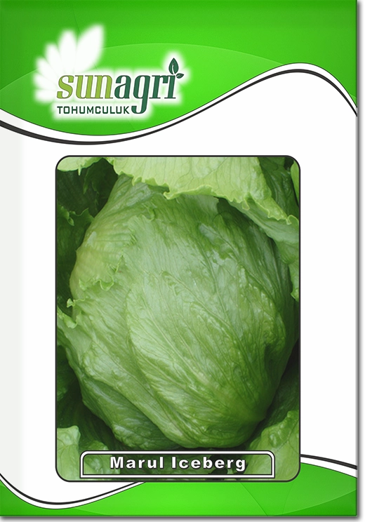 Iceberg Marul Tohumu (Atom - Çıtır Göbek)