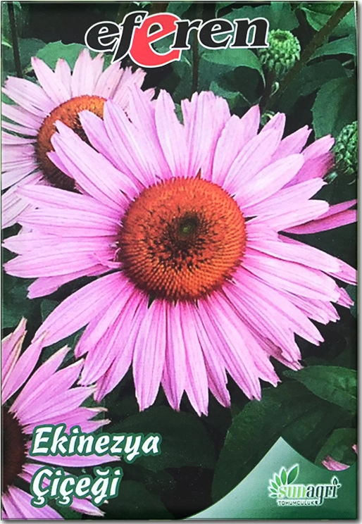 Ekinezya Çiçeği Tohumu (Şifalı - Çok Yıllık)
