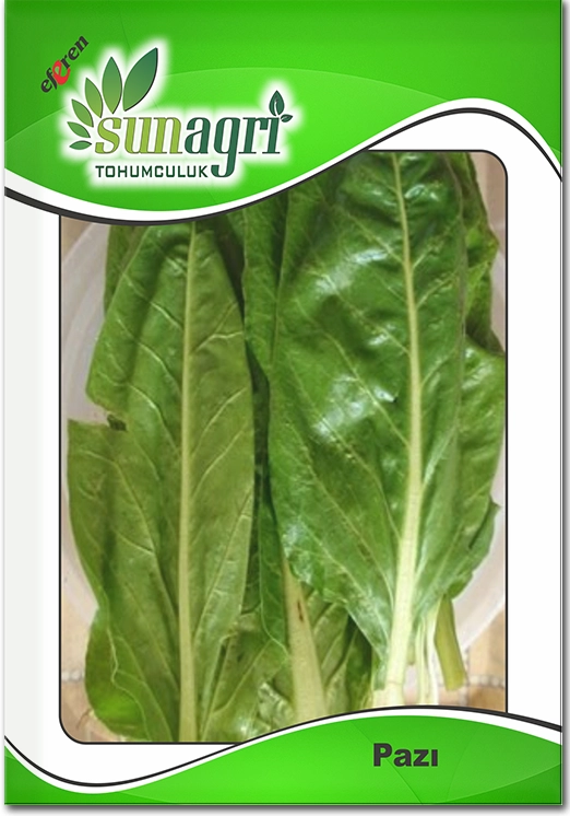 Geniş Yapraklı Pazı Tohumu