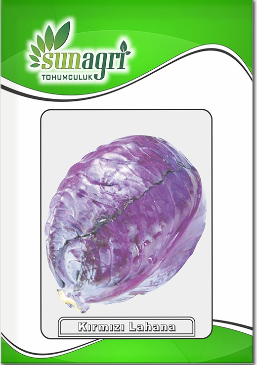 Kırmızı Lahana Tohumu (Mor Lahana - Sıkı Baş)