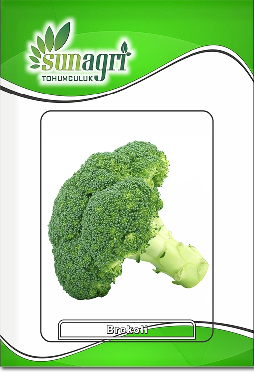 Brokoli Tohumu (Koyu Yeşil - Sıkı Baş)
