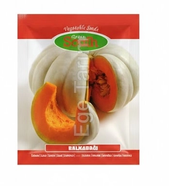 Green South Kestane Tipi (Adapazarı) Balkabağı Tohumu 10 gr - İri, Tatlı ve Dayanıklı