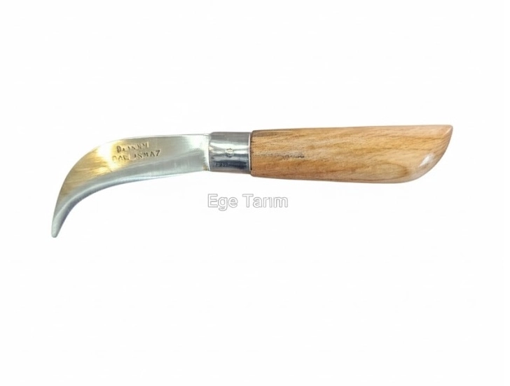 Bayram Profesyonel Kavisli Aşı Bıçağı (Büyük Boy - 21 cm) - Ahşap Saplı Paslanmaz Çelik