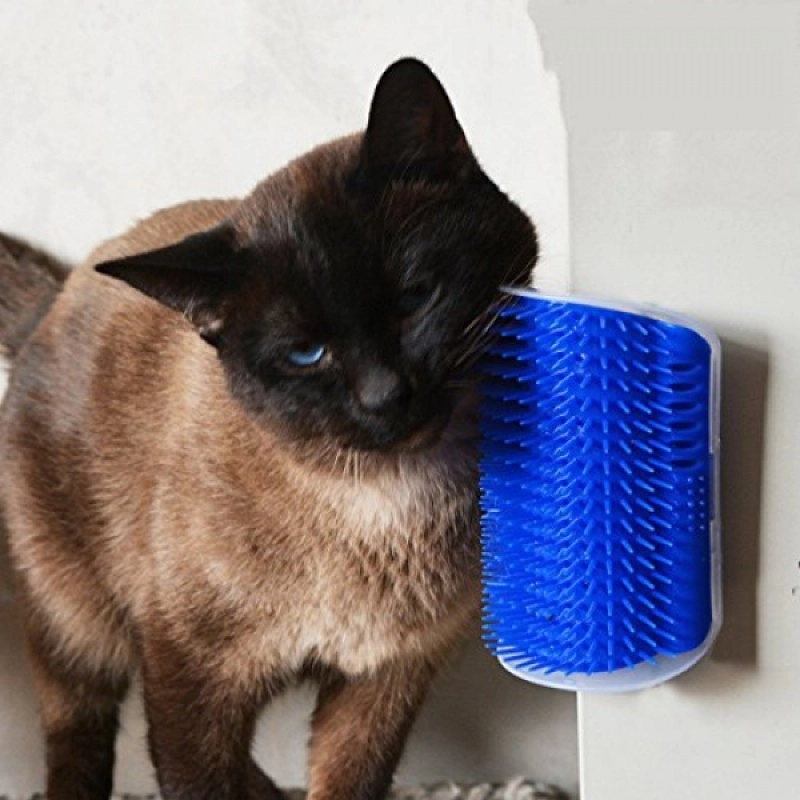 Cat It Kedi Kaşınma Aparatı (Duvar & Köşe Montajlı)