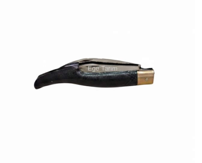 Çift Ağızlı Testereli Aşı ve Budama Çakısı (Orta Boy - 19.5 cm) - Plastik Saplı
