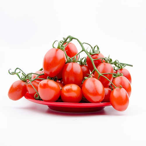 Green South Çeri (Kiraz) Domates Tohumu 100 Adet - Salkım ve Tatlı (Hobi Paketi)