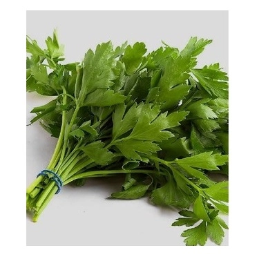 Green South Geniş Yaprak Maydanoz Tohumu 10 gr - Bol Verimli ve Hoş Kokulu