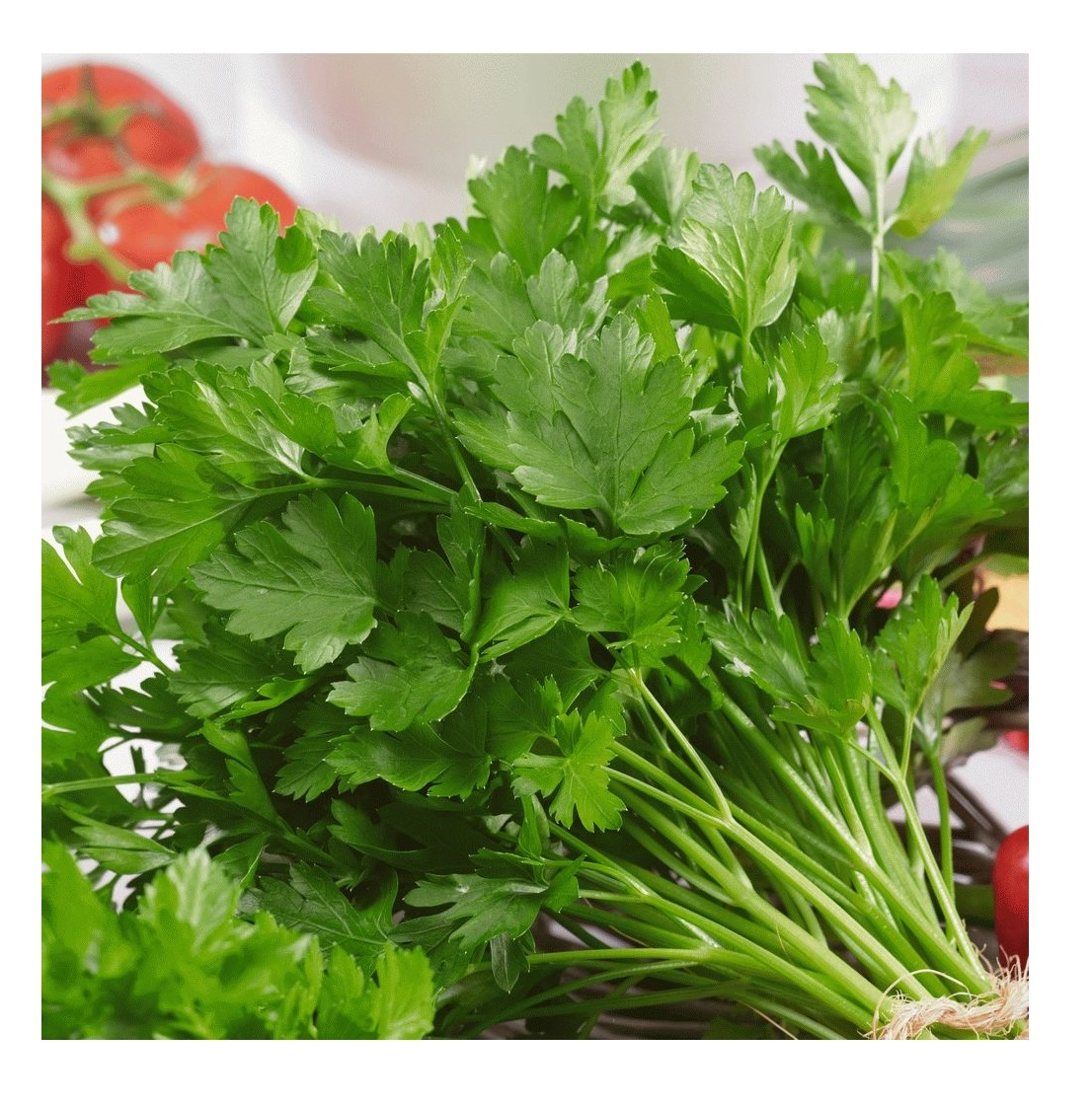 Green South Geniş Yaprak Maydanoz Tohumu 10 gr - Bol Verimli ve Hoş Kokulu