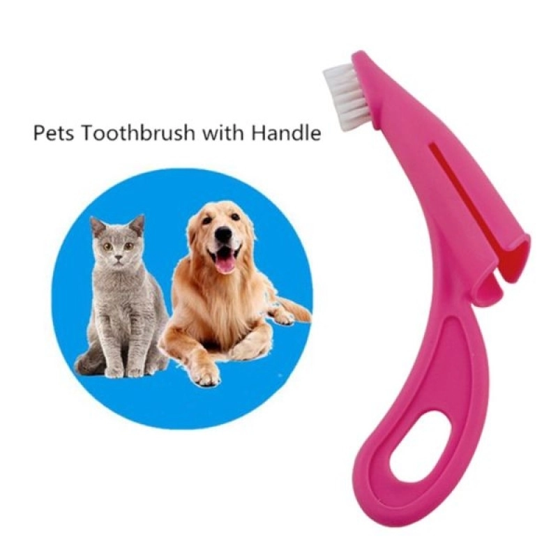 Ergonomik Kedi Köpek Diş Fırçası (Kaymaz Halkalı Tutma Saplı & Yumuşak Uçlu)