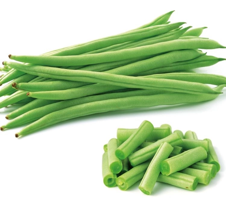 Green South Teğmen (Magnum Tipi) Oturak Fasulye Tohumu 10 gr - Yassı, Kılçıksız ve Erkenci