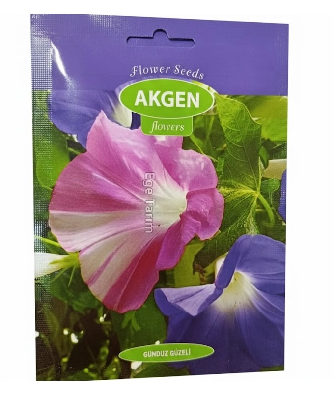Akgen Gündüz Güzeli (Convolvulus tricolor) Çiçek Tohumu - Güneşi Seven Güzellik