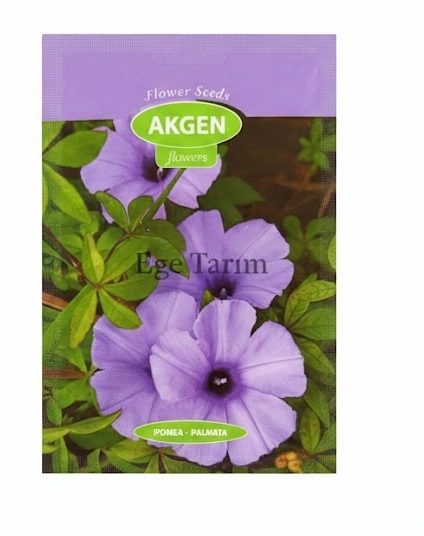 Parmak Yapraklı Sarmaşık (Ipomoea palmata) Tohumu - Mor Gündüz Sefası