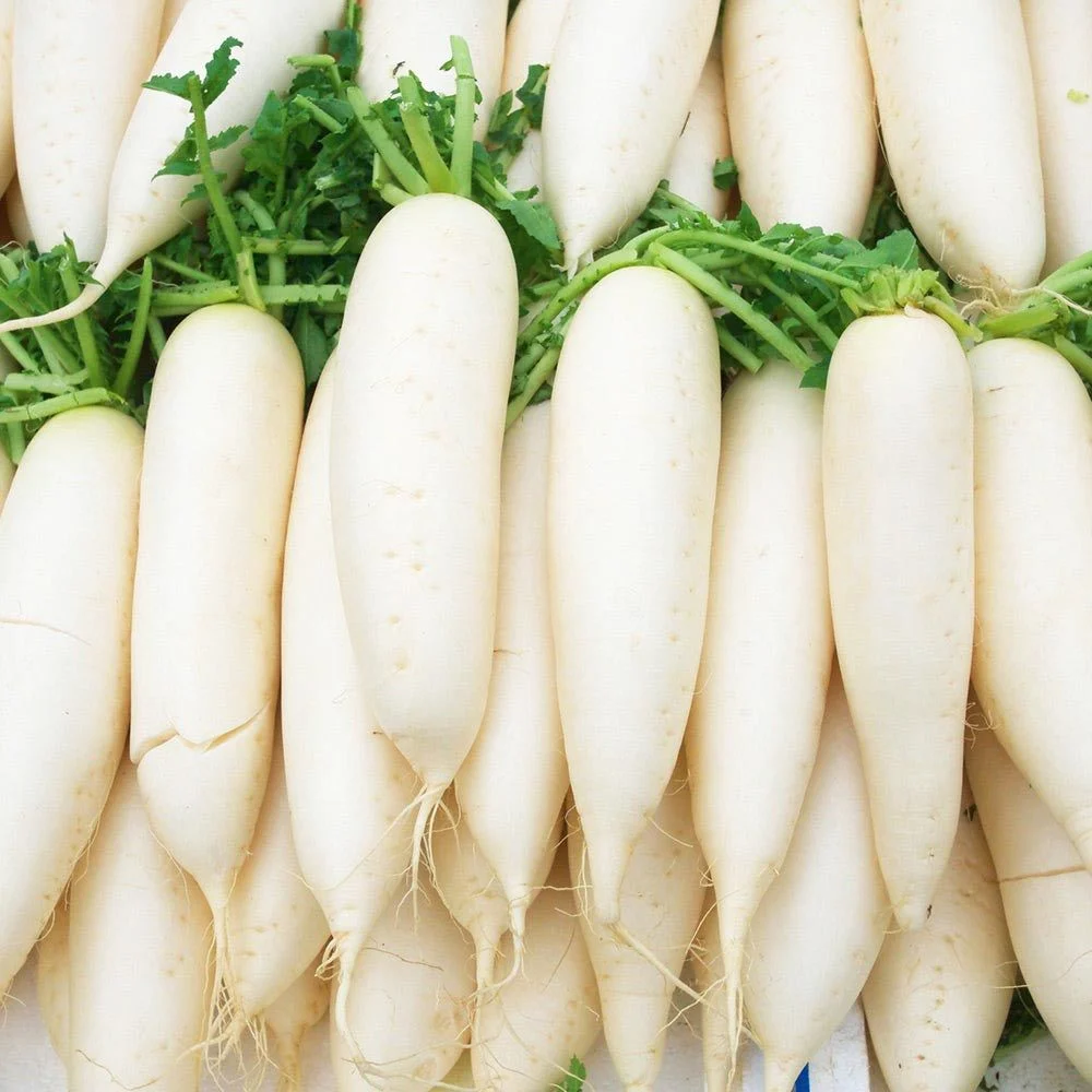 Akgen Japon (Daikon) Turpu Tohumu 5 gr - Beyaz, Uzun ve Gevrek