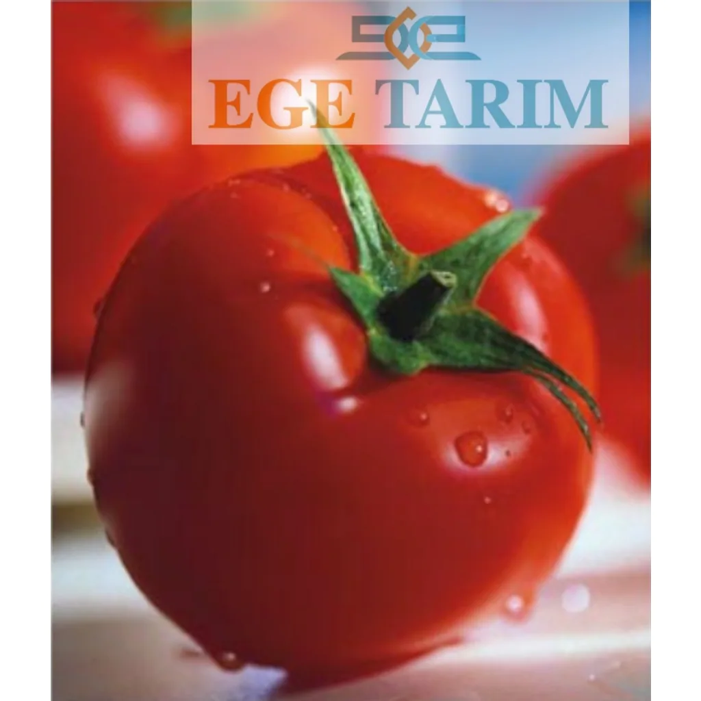 Green South Nur 2274 Oturak Domates Tohumu 3 gr - Hem Sofralık Hem Salçalık
