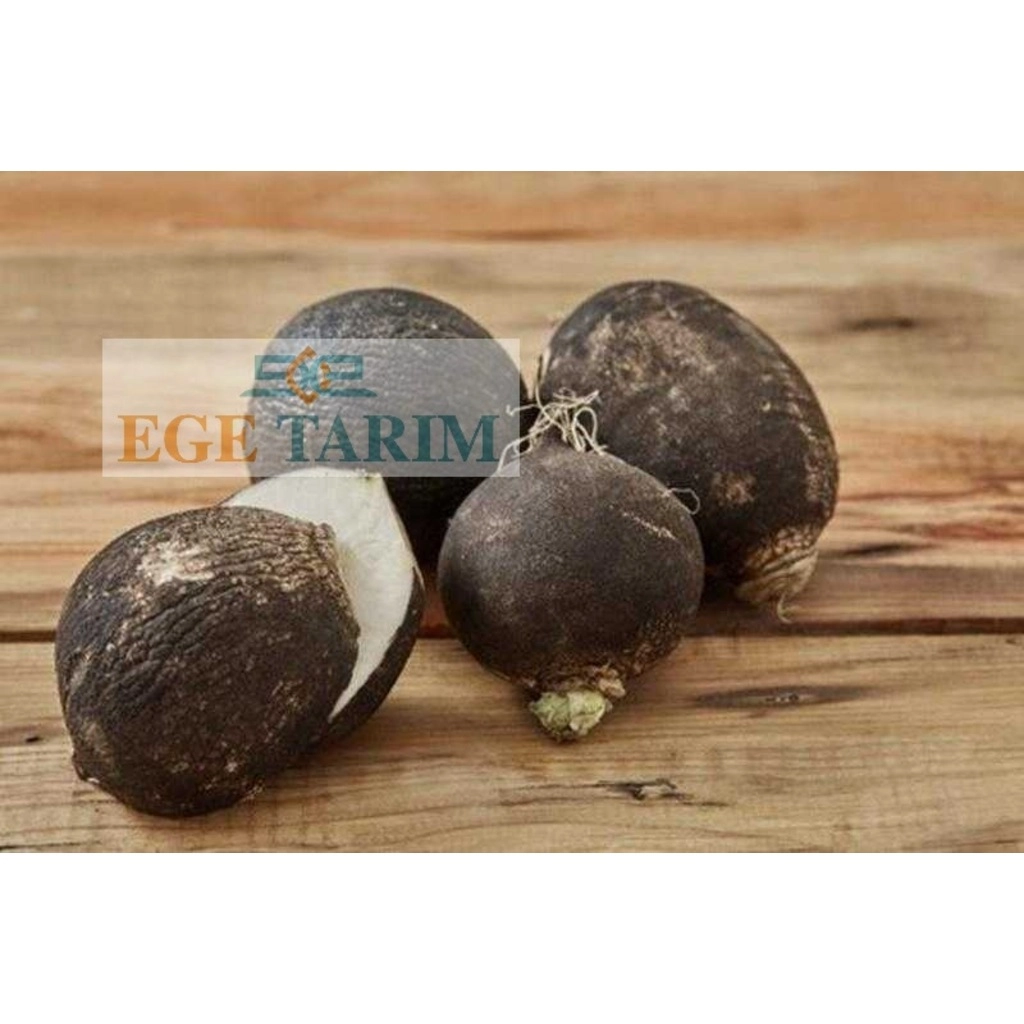 Star Seed Karakaya Siyah Turp Tohumu 10 gr - Yuvarlak ve Şifalı