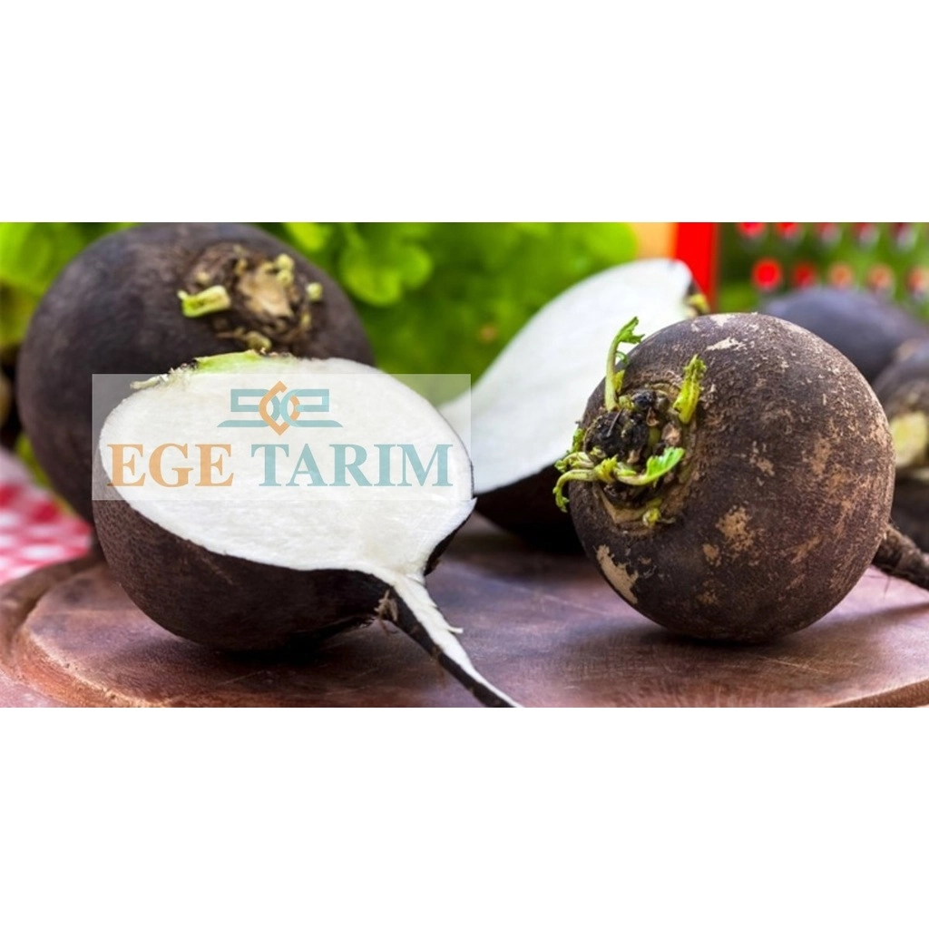 Star Seed Karakaya Siyah Turp Tohumu 10 gr - Yuvarlak ve Şifalı