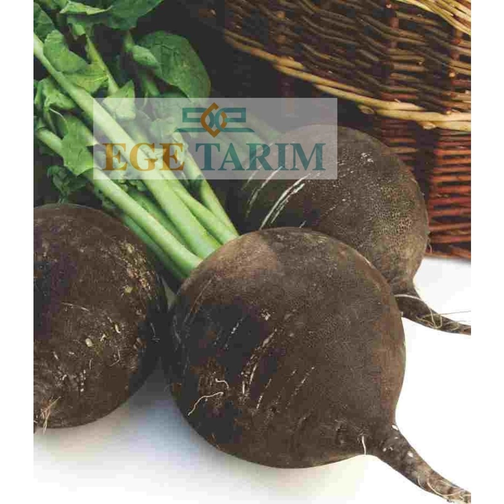 Star Seed Karakaya Siyah Turp Tohumu 10 gr - Yuvarlak ve Şifalı