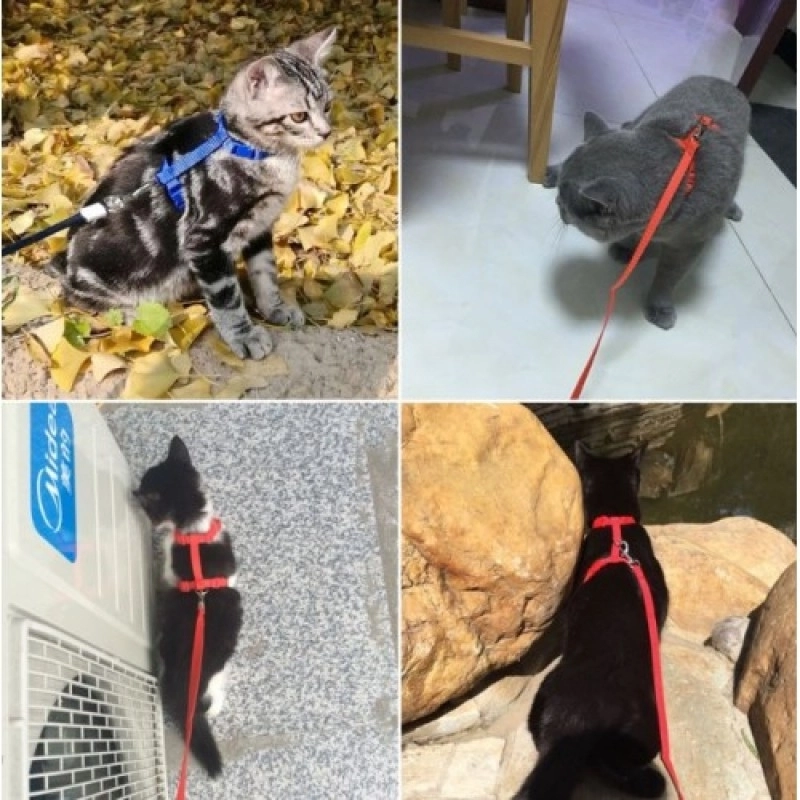 Ayarlanabilir Kedi Boyun ve Göğüs Tasması (Gezdirme Kayışı Dahil Set)