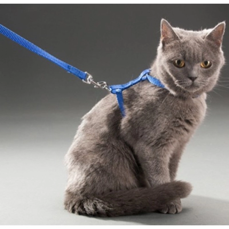 Ayarlanabilir Kedi Boyun ve Göğüs Tasması (Gezdirme Kayışı Dahil Set)