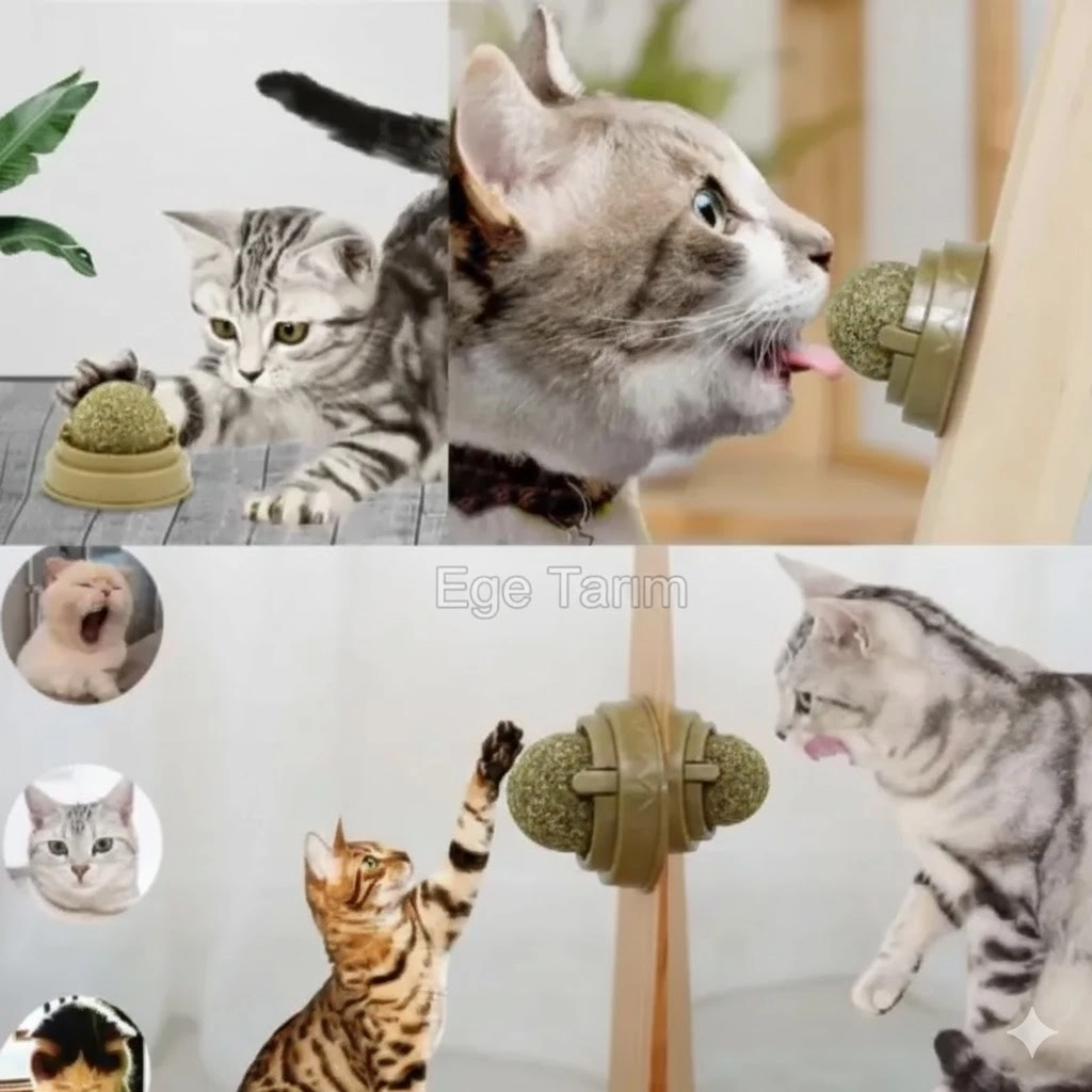 Dönen Kedi Nanesi Oyun Topu (Duvara Yapışabilen Doğal Catnip & Diş Temizleyici)