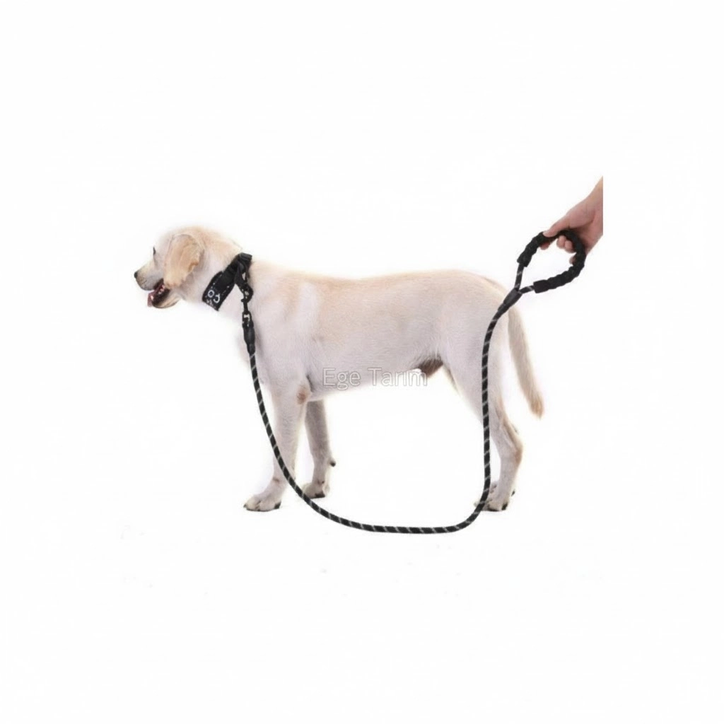 Reflektörlü Köpek Gezdirme Tasması 130 cm - Siyah (Sünger Saplı & Halat)