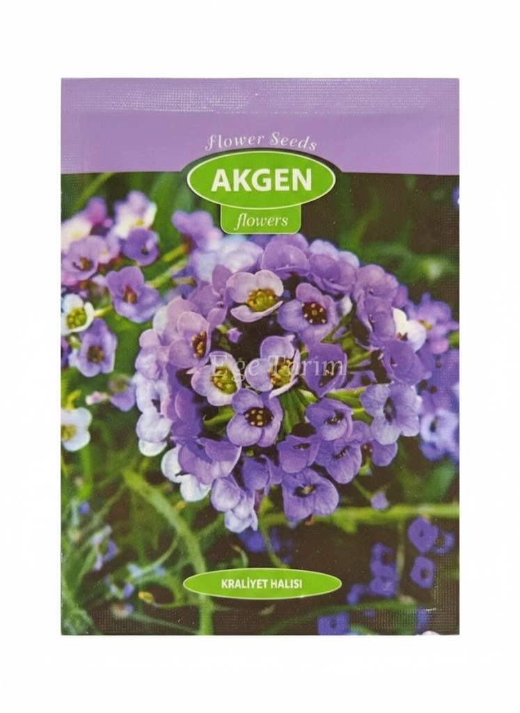 Kraliyet Halısı (Alyssum) Çiçek Tohumu - Kokulu Mor Yer Örtücü